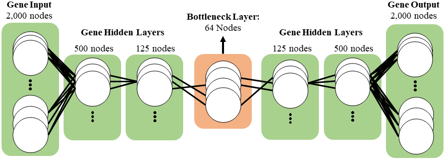 autoencoder_foundation